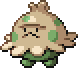 キノココ