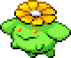 ポポッコ