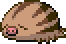 ウリムー