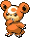 ヒメグマ