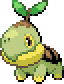 ナエトル