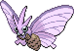 モルフォン